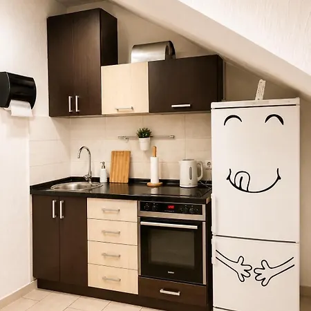 Appartement Loft *