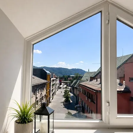 Appartement Loft